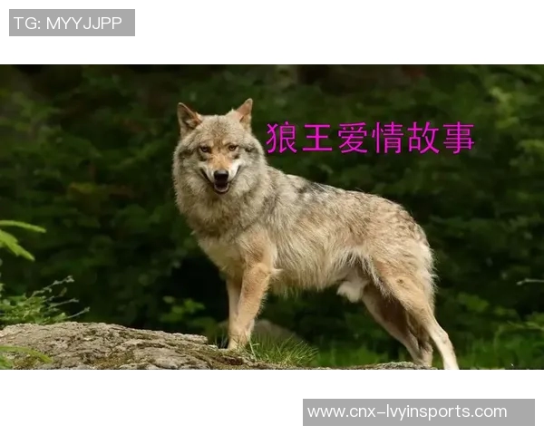 断袖王爷与夜狼王的爱恨纠葛在月光下交织的传奇故事 断袖王爷与夜狼王的爱恨纠葛在月光下交织的传奇故事